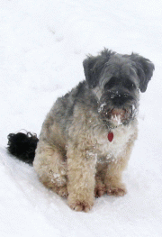 bea6.gif(25 kb)